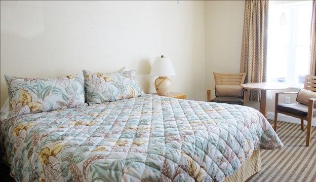 Rooms w/ 1 King Sized Bed